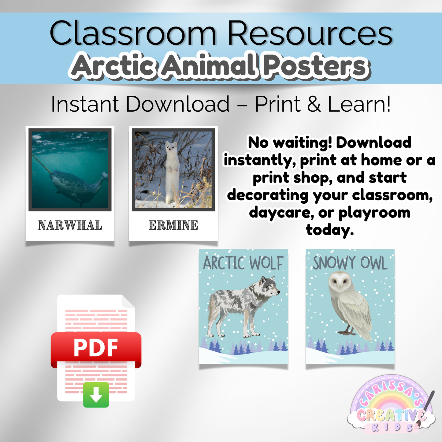 Montessori learning Arctic animal posters with real photos and illustrations. Fun and educational for kids.