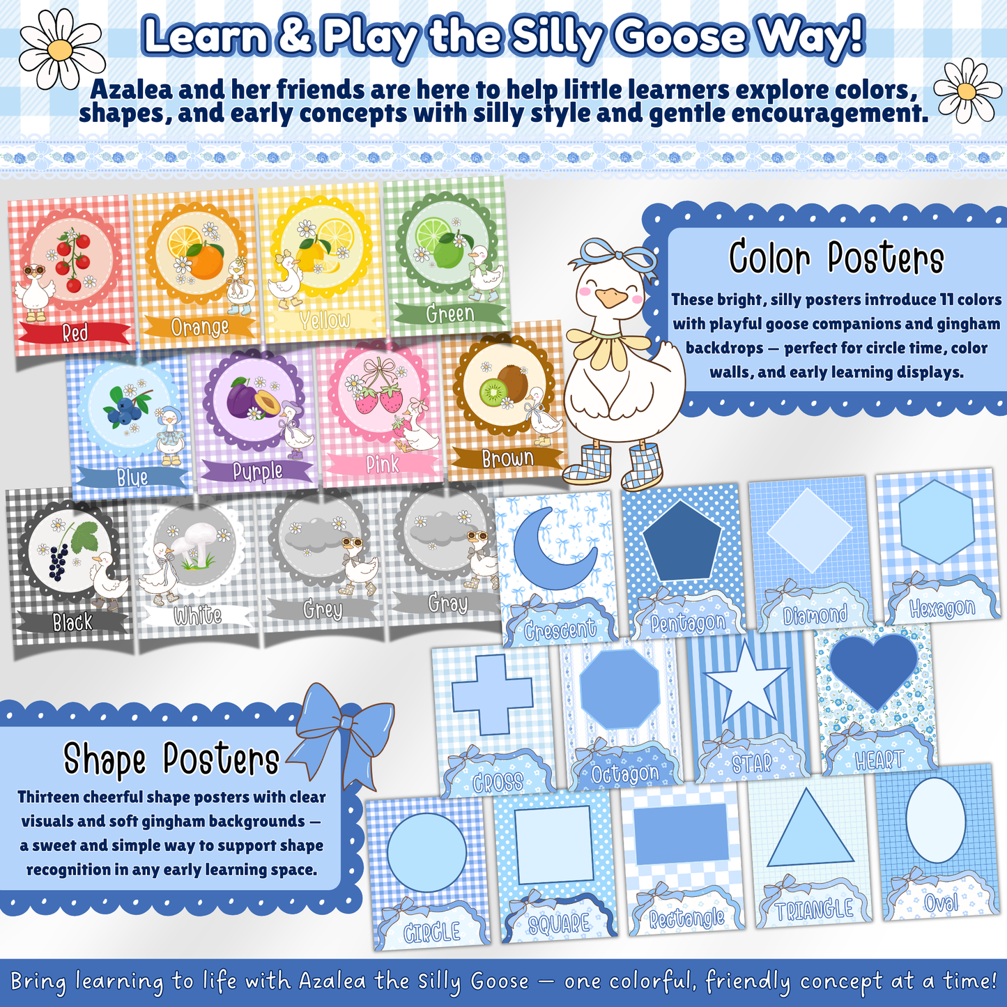 Silly Goose classroom color and shape posters for preschool and early learners featuring 11 colorful prints and 13 geometric shape displays with playful gingham backgrounds.