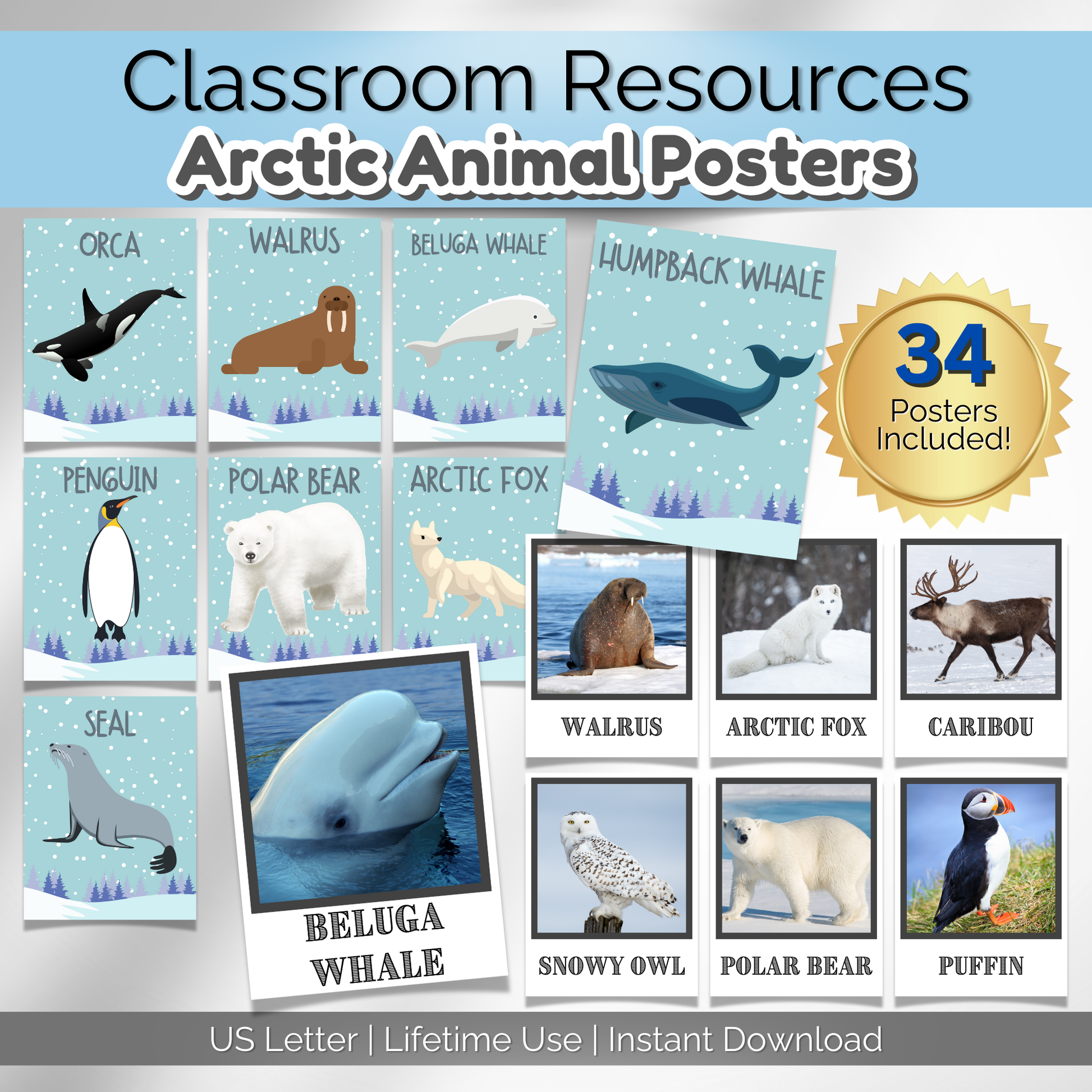 Arctic animal classroom posters featuring realistic photos and illustrations. Perfect for daycare, preschool, and home learning.
