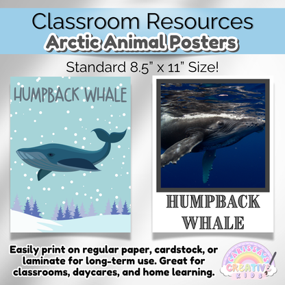 Educational Arctic animal learning posters for classrooms, playrooms, and Montessori spaces. Printable and easy to use.