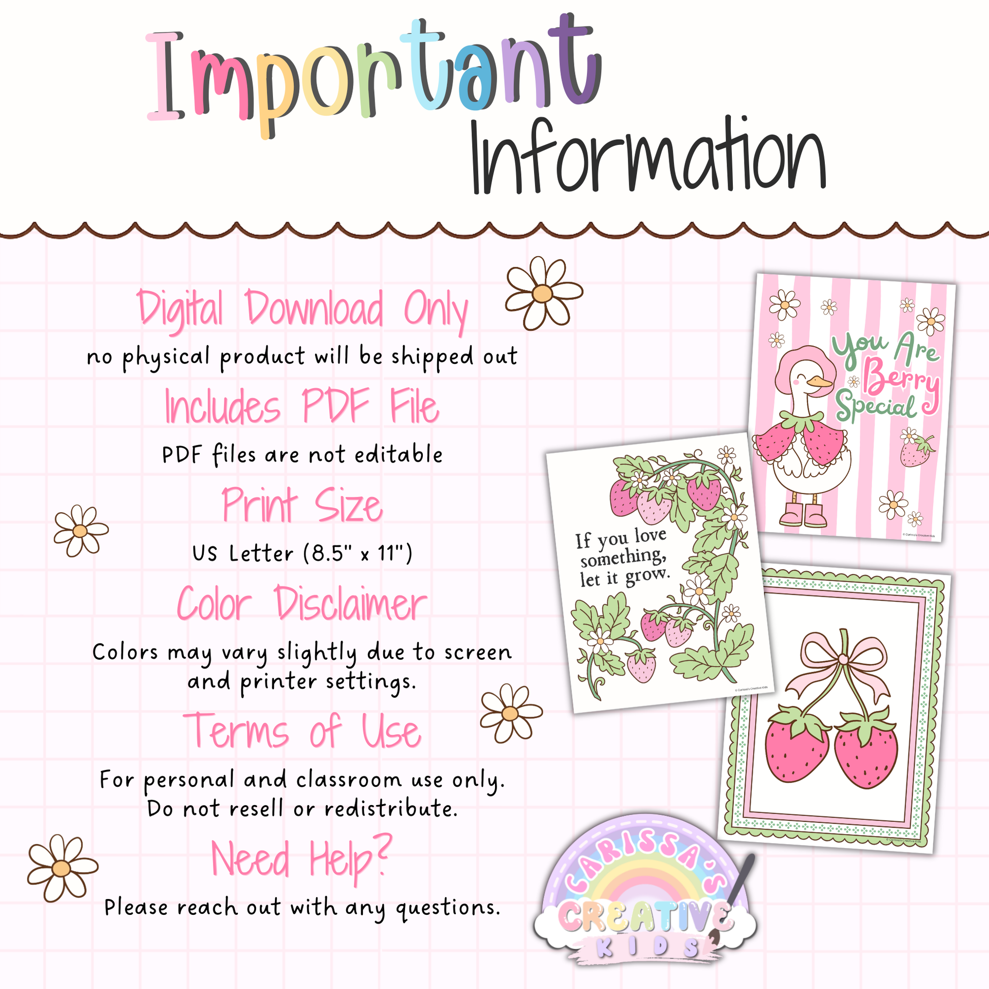 Important information for Goose Berry Classroom Posters printable classroom decor, including digital download PDF, non-editable files, US Letter print size, color disclaimer, terms of use, and pastel silly goose classroom posters.
